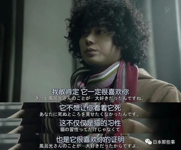 2022年最新热门日剧：勿言推理