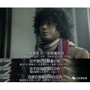 2022年最新热门日剧：勿言推理