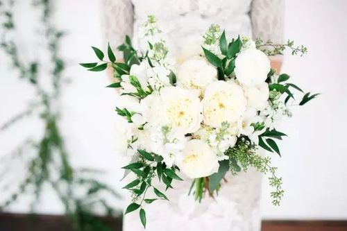 《豆瓣8.7分花束般的恋爱：极速下载、在线查看、倍速播放》