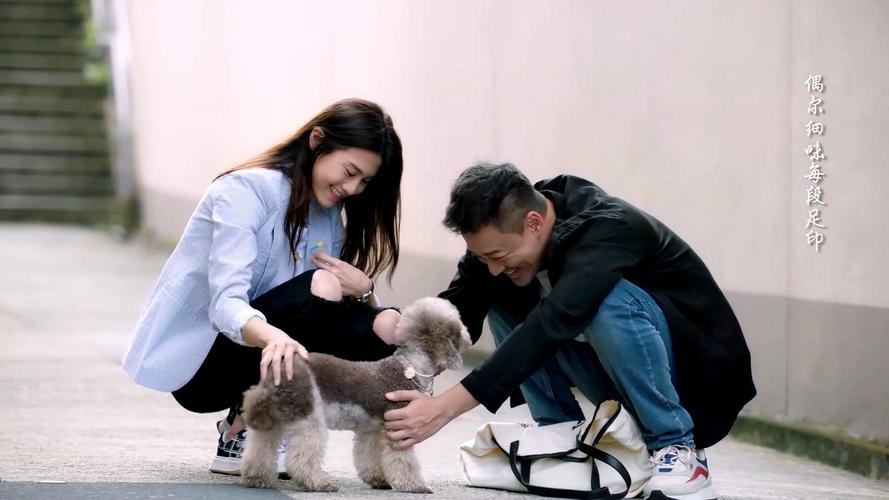 《2022/黑金风暴：4K细腻画面、国粤双语、内嵌中字、林峯、周秀娜、李文龙等主演的刑侦热播剧》