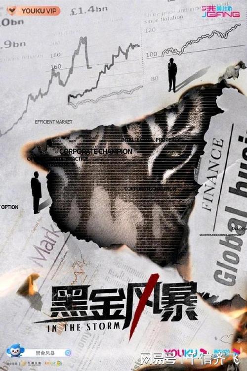 《2022/黑金风暴：4K细腻画面、国粤双语、内嵌中字、林峯、周秀娜、李文龙等主演的刑侦热播剧》