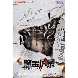 《2022/黑金风暴：4K细腻画面、国粤双语、内嵌中字、林峯、周秀娜、李文龙等主演的刑侦热播剧》