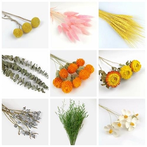 阿里云小棉花王者课程：掌握技术，实现业务驱动