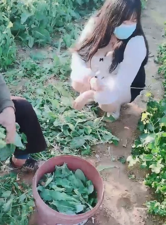 独特魅力！大罩杯少妇户外勾引大爷老汉推车视频1小时25分钟775M永久有效