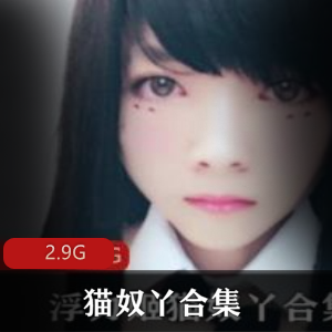 推特抖M猫奴丫清纯公交展示自述合集2.9G，偏口味重的精彩佳作