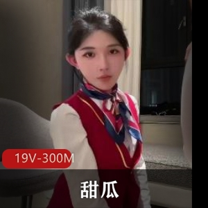 TS空姐甜瓜最新合集19V300M，短资源精选