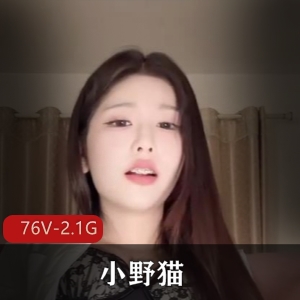 网红短视频小野猫清纯女神最新合集76V2.1G，包含道具秀与真人秀