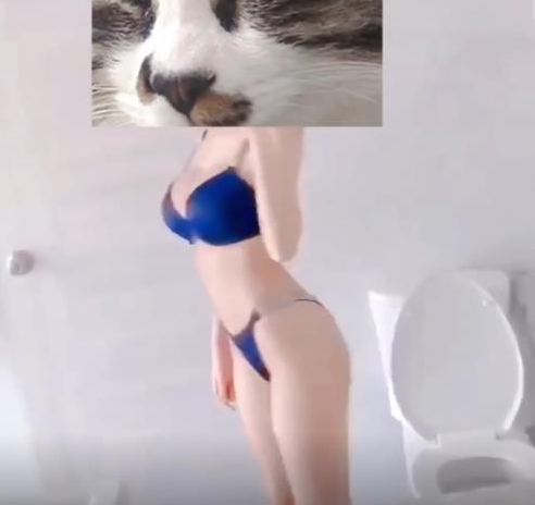 网红快手长腿黑丝美女神最新合集1V1G，顶级女主播展示