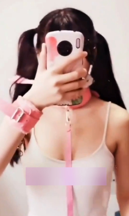 转载搬运抖音风福利姬精选合集1655V22G，吐血整理，适合王者小窗播放