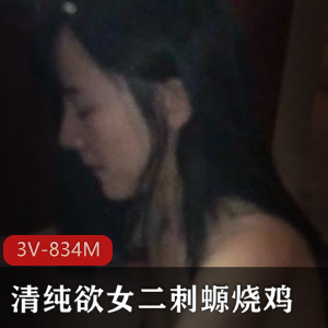 清纯二次元小姐姐姐网袜游戏合集3V834M，颜值身材俱佳