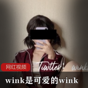 推特知名网红可爱wink作品合集19V5.87G，完美二次元小姐姐