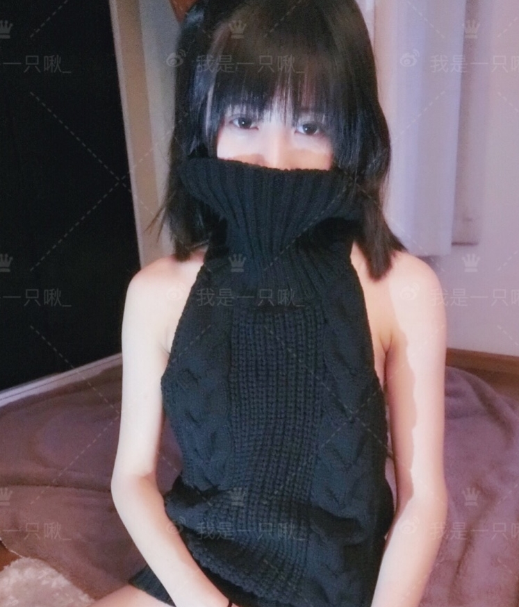 百度布丁大法回归合集133套40.5G，收藏1474