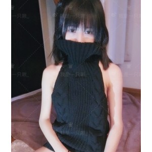 百度布丁大法回归合集133套40.5G，收藏1474