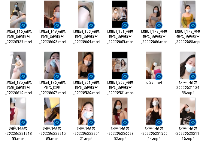 粉色小精灵美妇24部37.3G火辣合集