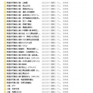 PR社小猫绝版三人游合集109V8.41G太带劲