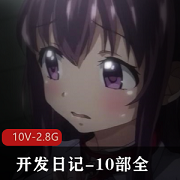 汉化合集阿黑颜神作开发日记10部2.8G太感觉了