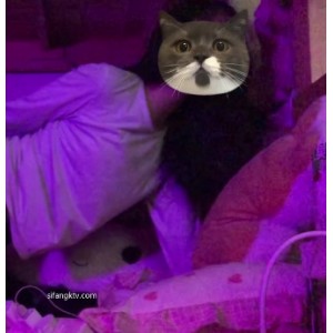 疯狂暴抠：双女畸形恋攻守激吻假物件打粑粑吃瓜自拍2.1G3V百度盘