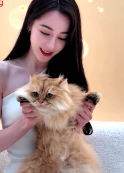 AI换脸迪丽热巴神仙颜值合集1V470M太顶了