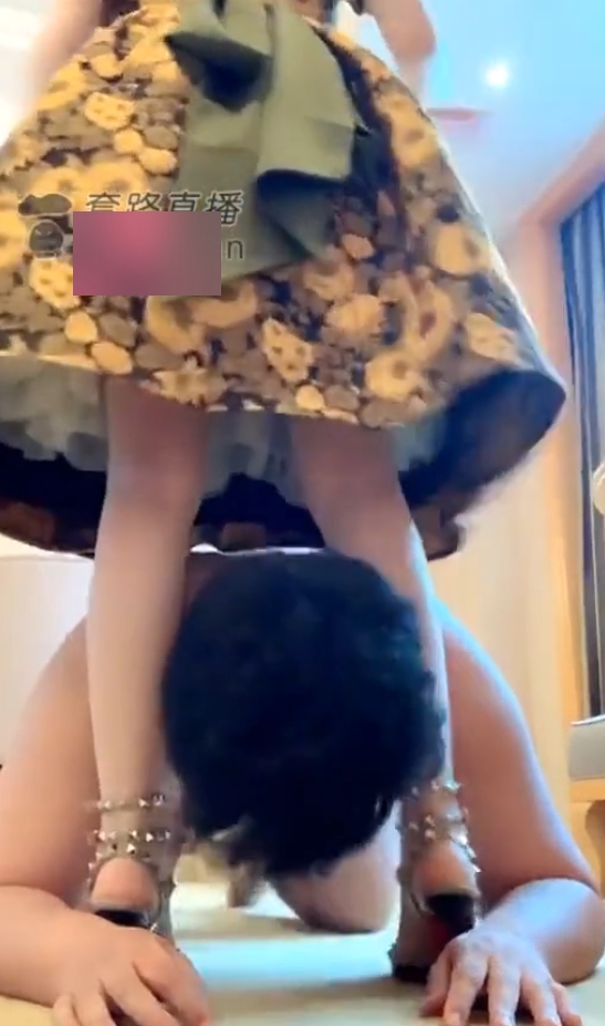 淘露绘子s直播合集498部225G优质