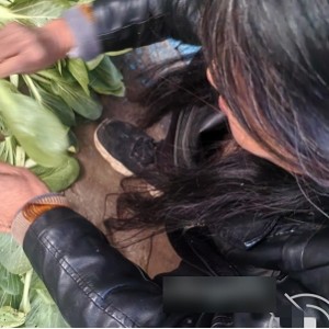 P站艺术家实在小李子家庭时光珍藏经典难忘601.5MB