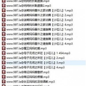 太酥麻音频站R18母系精品音声594部29.1G
