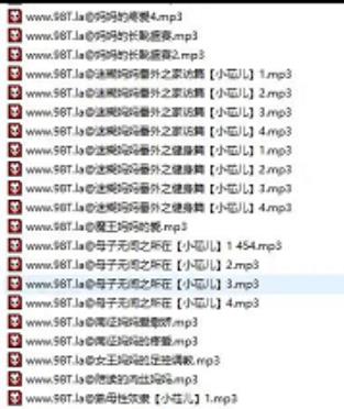 太酥麻音频站R18母系精品音声594部29.1G