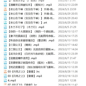 骚麦银词艳曲私藏合集397部79G很带劲